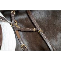 Chin strap brown/brass Cob/Full