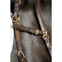 Chin strap brown/brass Cob/Full