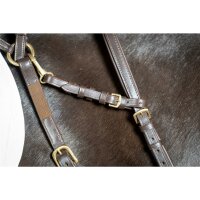 Chin strap brown/brass Cob/Full