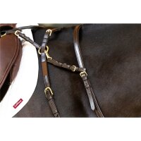 Chin strap brown/brass Cob/Full