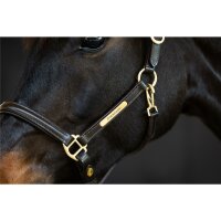 Graveerplaatje voor gravure messing