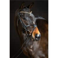 Stirnriemen Stockholm schwarz Full