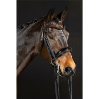 Kandare Aachen rundgenäht schwedisch schwarz/silber schwarz unterlegt Lack Cob