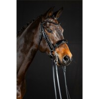 Kandare Aachen rundgenäht schwedisch schwarz/silber schwarz unterlegt Lack Cob