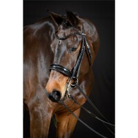 Kandare Aachen rundgenäht schwedisch schwarz/silber schwarz unterlegt Lack Cob