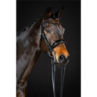 Kandare Aachen rundgenäht schwedisch schwarz/silber schwarz unterlegt Lack Full