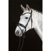 Trense Aachen rundgenäht englisch kombiniert schwarz/silber schwarz unterlegt matt Full