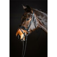 Trense Aachen rundgenäht schwedisch kombiniert schwarz/silber schwarz unterlegt Lack Full