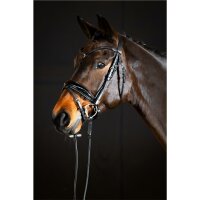 Trense Aachen rundgenäht schwedisch kombiniert schwarz/silber schwarz unterlegt Lack Full