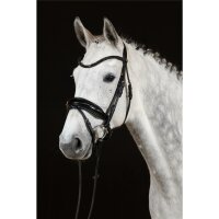 Trense Aachen rundgenäht schwedisch kombiniert schwarz/silber schwarz unterlegt Lack Full