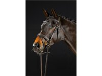 Trense Donaueschingen braun/messing Cob