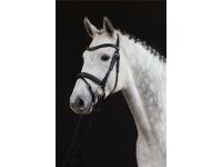 Hoofdstel Donaueschingen zwart/zilver Cob