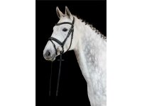 Hoofdstel Donaueschingen zwart/zilver Cob