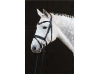 Hoofdstel Donaueschingen zwart/zilver Cob