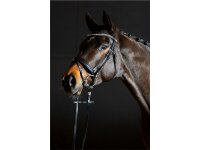 Trense Hagen englisch kombiniert schwarz/silber schwarz unterlegt matt Pony