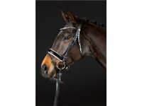 Trense Hagen englisch kombiniert schwarz/silber weiß unterlegt Lack Full