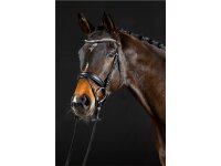 Hoofdstel Hagen Zweeds gecombineerd zwart/zilver zwart onderliggend mat Full