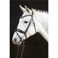 Trense Wiesbaden Comfort englisch kombiniert braun/silber braun unterlegt matt Full