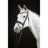 Trense Wiesbaden Comfort englisch kombiniert braun/silber braun unterlegt matt Full