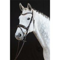 Trense Wiesbaden Comfort englisch kombiniert braun/silber braun unterlegt matt Full