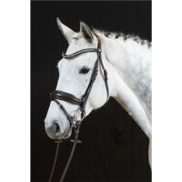 Trense Wiesbaden Comfort englisch kombiniert braun/silber braun unterlegt matt Full