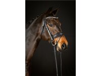 Trense Wiesbaden Comfort schwedisch kombiniert schwarz/silber schwarz unterlegt matt Full