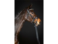 Trense Wiesbaden Comfort schwedisch kombiniert schwarz/silber schwarz unterlegt matt Full