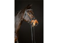 Trense Wiesbaden Comfort schwedisch kombiniert schwarz/silber schwarz unterlegt matt XFull