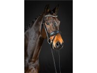 Trense Wiesbaden Comfort schwedisch kombiniert schwarz/silber schwarz unterlegt matt XFull