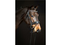 Trense Wiesbaden Comfort schwedisch kombiniert schwarz/silber schwarz unterlegt matt XFull