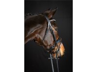 Trense Wiesbaden Comfort schwedisch kombiniert schwarz/silber schwarz unterlegt matt XFull