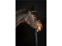 Trense Wiesbaden Comfort schwedisch kombiniert schwarz/silber weiß unterlegt matt Cob