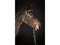 Trense Wiesbaden Comfort schwedisch kombiniert schwarz/silber weiß unterlegt matt Cob