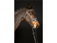 Trense Wiesbaden Comfort schwedisch kombiniert schwarz/silber weiß unterlegt matt Cob