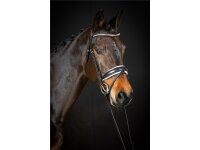 Trense Wiesbaden Comfort schwedisch kombiniert schwarz/silber weiß unterlegt matt Cob