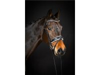 Trense Wiesbaden Comfort schwedisch kombiniert schwarz/silber weiß unterlegt matt Cob