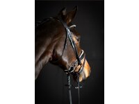 Trense Wiesbaden Comfort schwedisch kombiniert schwarz/silber weiß unterlegt matt Full