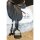 Steigb&uuml;gelriemen Softtouch Mono Dressage schwarz S 70cm