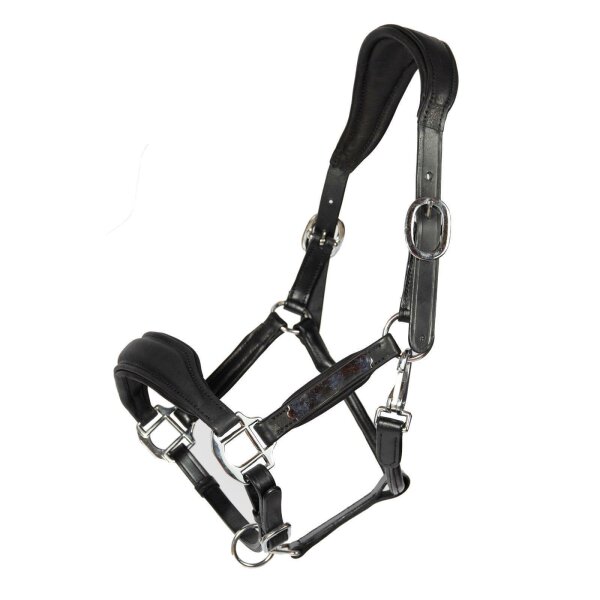 Halfter Radolfzell schwarz/silber