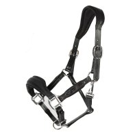 Halfter Radolfzell schwarz/silber