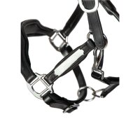 Halfter Radolfzell schwarz/silber