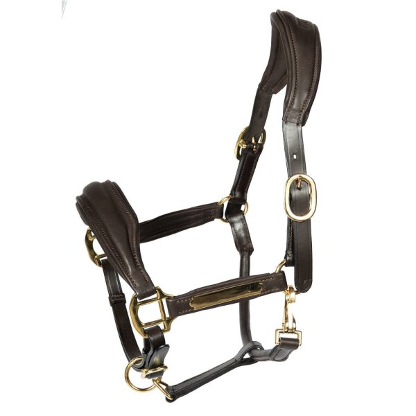 Halfter Radolfzell braun/messing