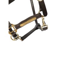 Halfter Radolfzell braun/messing