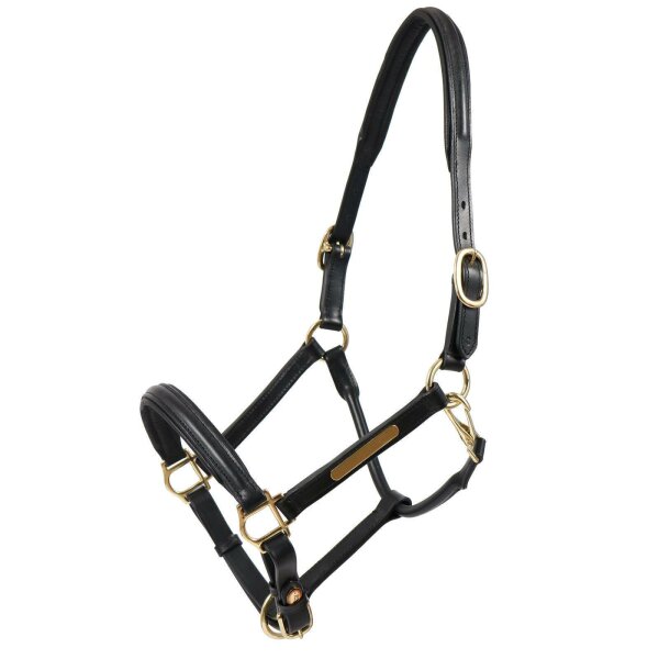 Hünxe halter black/brass PONY