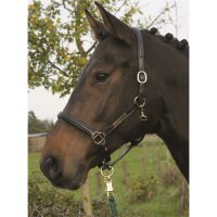 Hünxe halter black/brass PONY