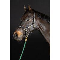 Hünxe halter black/brass PONY