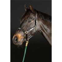 Hünxe halter black/brass PONY