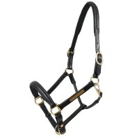 Hünxe halter black/brass XFULL
