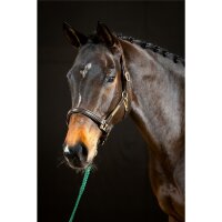 Sahrendorf halter brown/brass COB