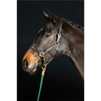 Sahrendorf halter brown/brass COB